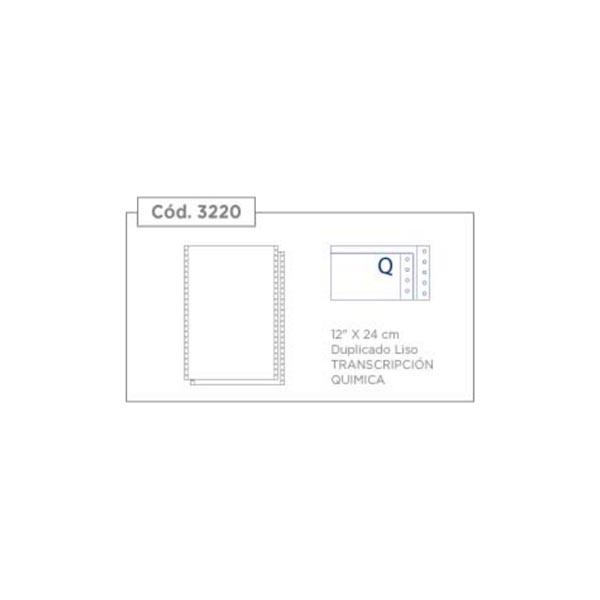 Formulario Continuo 12x24 Húsares Duplicado Transcripción Química
