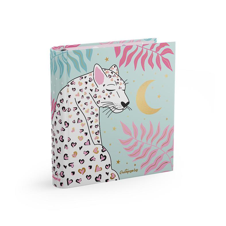 Carpeta 3 x 40 Mooving Quitapesares