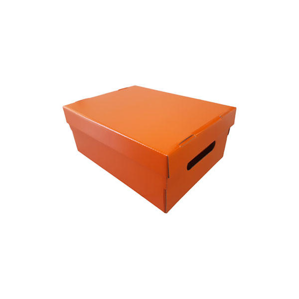 Caja de Cartón de Color Tamaño Legal 12x3