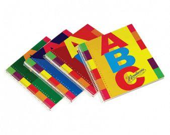 Cuaderno ABC de 100 hojas de 27 cm rivadavia