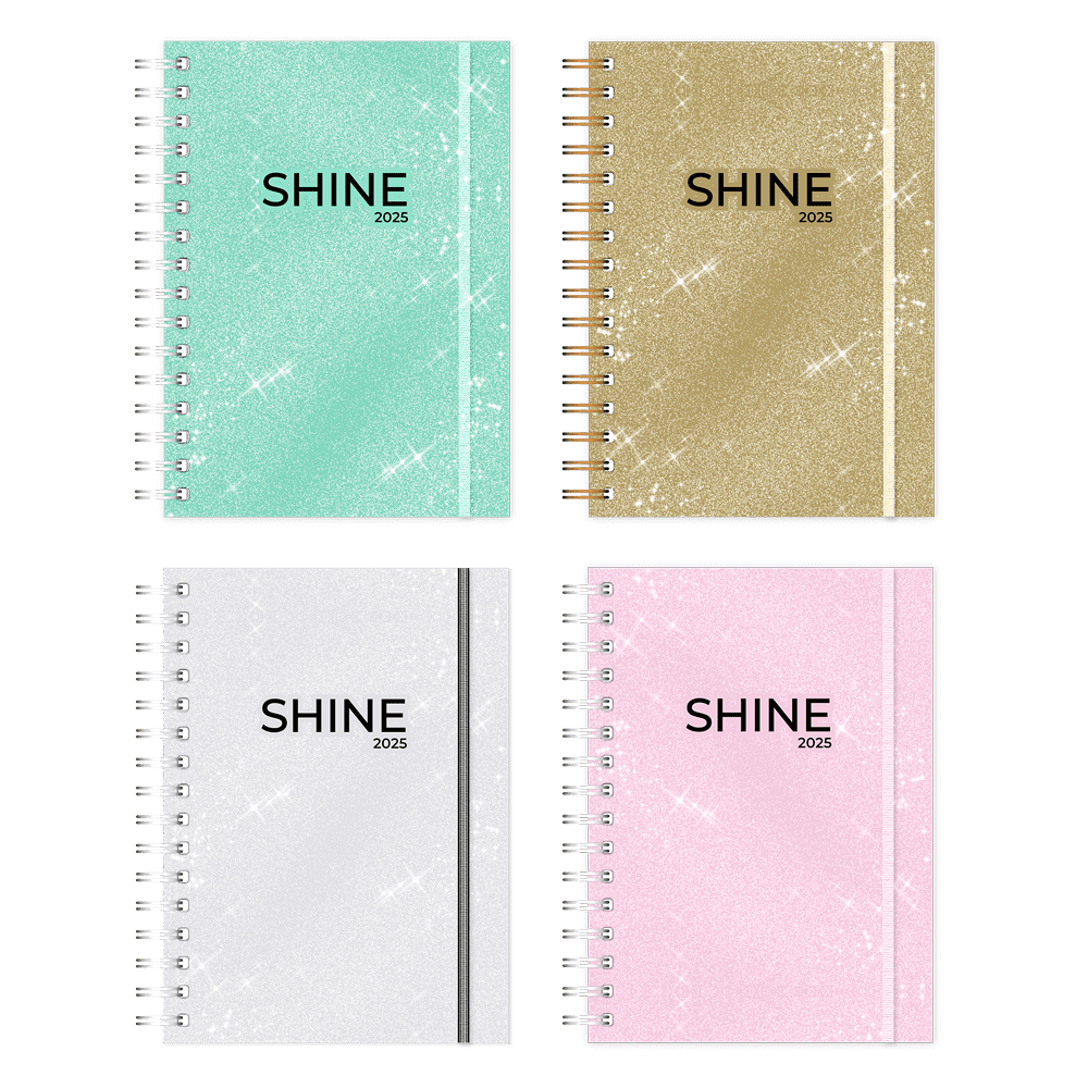 AGENDA ONIX SHINE S/VISTA C/ESP. 16 X 22 CM (AG25B006) 2025