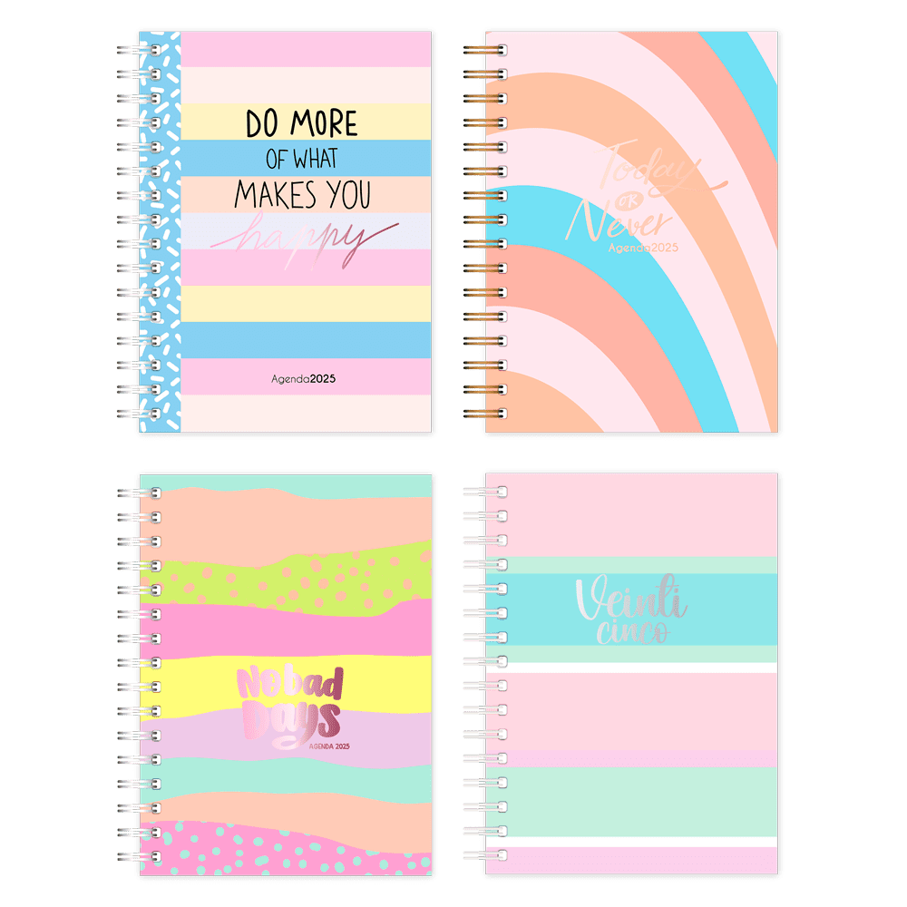 AGENDA ONIX ECO COLORIDA DIARIA C/ESP. 16 X 22 CM (AG25E014) 2025