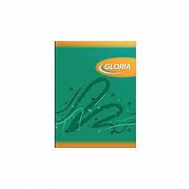 CUADERNO TAPA FLEXIBLE X84 HOJAS GLORIA 