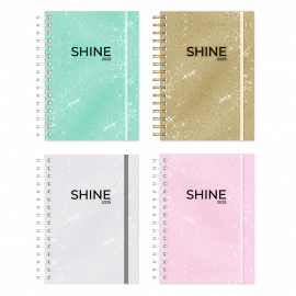 AGENDA ONIX SHINE S/VISTA C/ESP. 16 X 22 CM (AG25B006) 2025